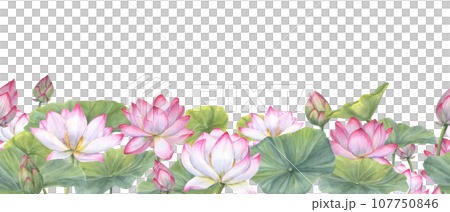 Seamless banner of Indian sacred lotus flowers with leaves. Water lily, Indian lotus, green leaf, bud. Space for text. Watercolor illustration. Horizontal board Seamless banner of Indian sacred lotus flowers with leaves. Water lily, Indian lotus, green leaf, bud. Space for text. Watercolor illustration. Horizontal board 107750846
