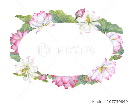 Frame of Indian sacred lotus flowers with leaves. Water lily, Indian lotus, green leaf, bud. Space for text. Watercolor illustration for greetings, package, label, invitation, cosmetics. Frame of Indian sacred lotus flowers with leaves. Water lily, Indian lotus, green leaf, bud. Space for text. Watercolor illustration for greetings, package, label, invitation, cosmetics. 107750849
