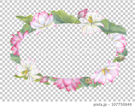 Frame of Indian sacred lotus flowers with leaves. Water lily, Indian lotus, green leaf, bud. Space for text. Watercolor illustration for greetings, package, label, invitation, cosmetics. Frame of Indian sacred lotus flowers with leaves. Water lily, Indian lotus, green leaf, bud. Space for text. Watercolor illustration for greetings, package, label, invitation, cosmetics. 107750849