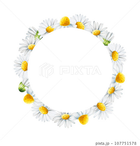 Watercolor white daisy flowers frame, logo and template isolated. Chamomile. Beauty products and botany set, cosmetology and medicine. For designers, spa decoration, postcards, wrapping paper, 107751578