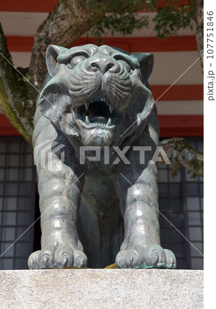 鞍馬寺 金堂の狛犬 京都市左京区 鞍馬寺 金堂の狛犬 京都市左京区 107751846