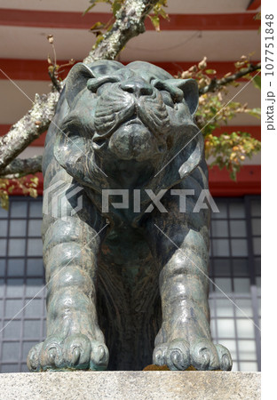 鞍馬寺 金堂の狛犬 京都市左京区 鞍馬寺 金堂の狛犬 京都市左京区 107751848