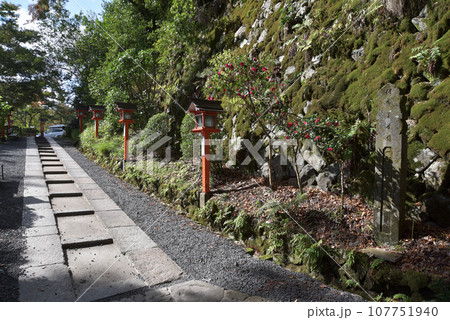 鞍馬寺 参道 京都市左京区 鞍馬寺 参道 京都市左京区 107751940