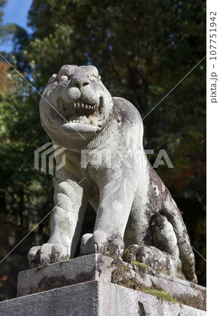 鞍馬寺　仁王門の狛犬　京都市左京区 107751942