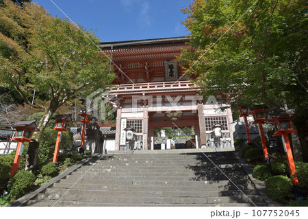 鞍馬寺 仁王門 京都市左京区 鞍馬寺 仁王門 京都市左京区 107752045