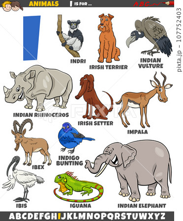 cartoon animal characters for letter I educational set 107752403