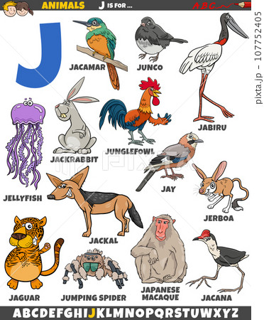 cartoon animal characters for letter J...のイラスト素材 [107752405  