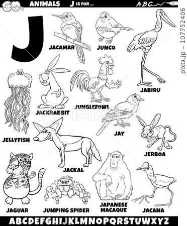 cartoon animal characters for letter J set coloring page 107752406
