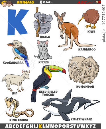 cartoon animal characters for letter K educational set cartoon animal characters for letter K educational set 107752407