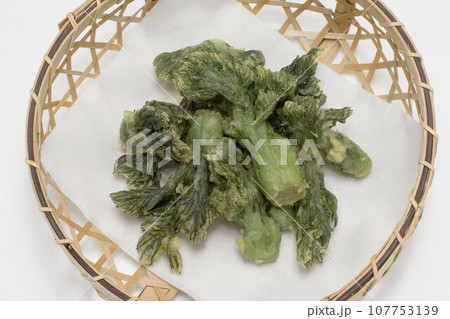 タラの芽の天婦羅 107753139