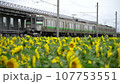ひまわりの駅 107753551