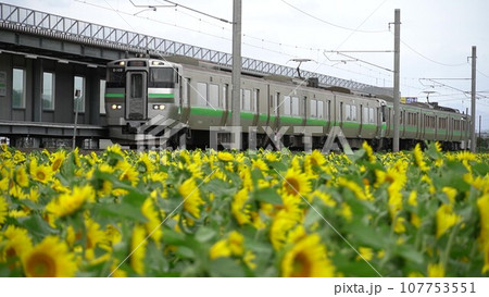 ひまわりの駅 ひまわりの駅 107753551