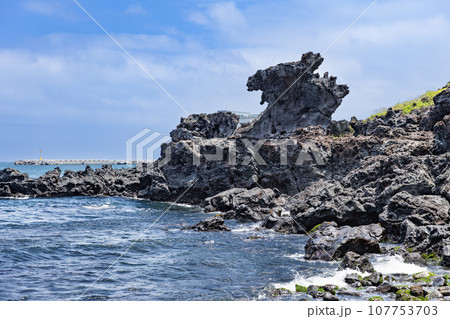 済州島　龍頭岩 107753703