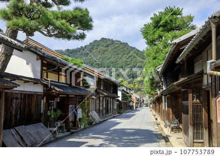 近江八幡市、八幡山と城下町の古い町並み 107753789