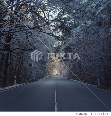 Car on the road among trees at forest covered by snow at winter frosty morning. Car on the road among trees at forest covered by snow at winter frosty morning. 107754183