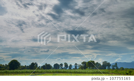 Time-lapse cloud before storm above summer landscape 107755165