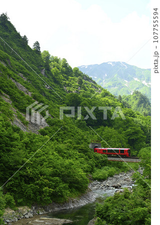 只見線の深緑の中を走るえちごトキめき鉄道「雪月花」 107755594