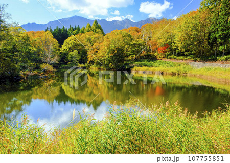 紅葉の天池 107755851