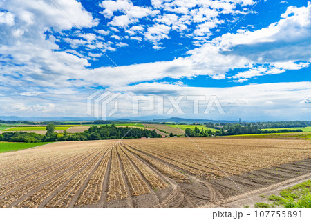 北海道美瑛町 夏の美瑛の風景 北海道美瑛町 夏の美瑛の風景 107755891