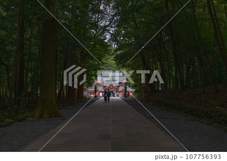 鹿児島 霧島神宮 閑寂な参道と社殿 107756393