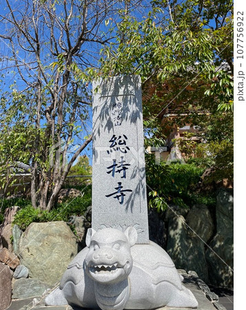 茨木市にある総持寺の風景 茨木市にある総持寺の風景 107756922