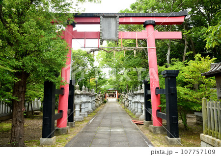 蟻通神社(鳥居) 【大阪府泉佐野市】 蟻通神社(鳥居) 【大阪府泉佐野市】 107757109