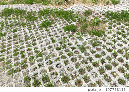 人工ゲレンデ01 人工ゲレンデ01 107758151