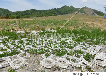 人工ゲレンデ04 人工ゲレンデ04 107758160