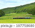 全般検査のためしなの鉄道へ輸送されるあいの風とやま鉄道の旧型車両 107758680