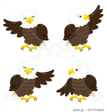 案内する鷲 107759884