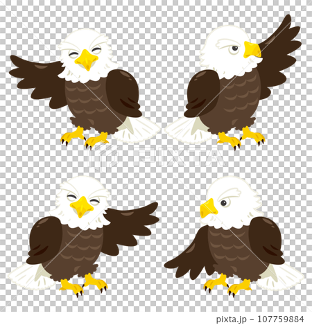 案内する鷲 107759884