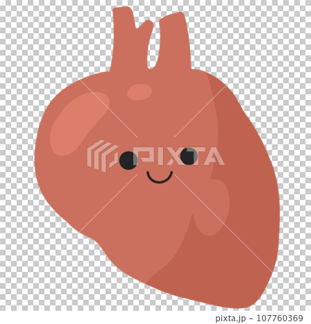 Human body anatomy infographic of structure of human organs Human body anatomy infographic of structure of human organs 107760369