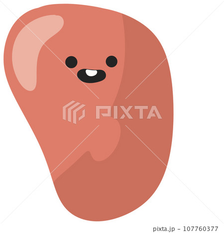 liver organ cute design Human body anatomy infographic of structure of human organs liver organ cute design Human body anatomy infographic of structure of human organs 107760377