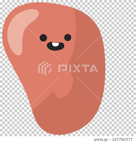 liver organ cute design Human body anatomy infographic of structure of human organs liver organ cute design Human body anatomy infographic of structure of human organs 107760377
