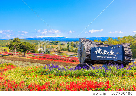 【北海道】美瑛町 ぜるぶの丘 【北海道】美瑛町 ぜるぶの丘 107760480