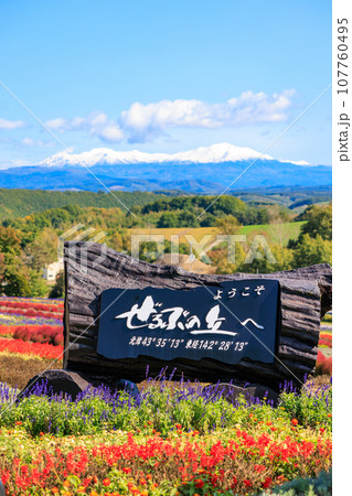 【北海道】美瑛町 ぜるぶの丘 【北海道】美瑛町 ぜるぶの丘 107760495