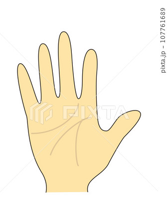 手のひらと手相のイラスト 107761689