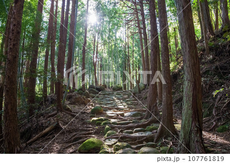 世界遺産「熊野古道伊勢路」松本峠 世界遺産「熊野古道伊勢路」松本峠 107761819