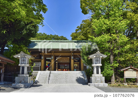 東京都・原宿 東郷神社 神門 東京都・原宿 東郷神社 神門 107762076