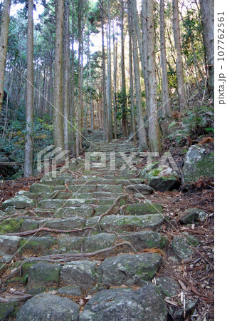 世界遺産「熊野古道伊勢路」松本峠 世界遺産「熊野古道伊勢路」松本峠 107762561