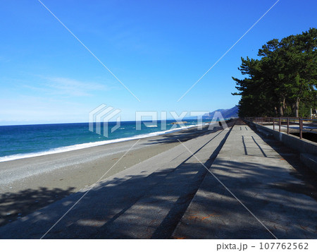 海へ続く道 海へ続く道 107762562