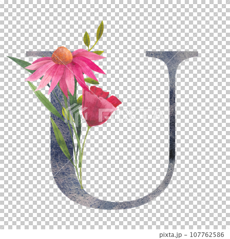 Floral Alphabet Letter U Watercolor Flowers Stock Illustration