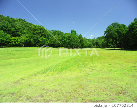 21世紀の森と広場の初夏の草原と林風景 107762814