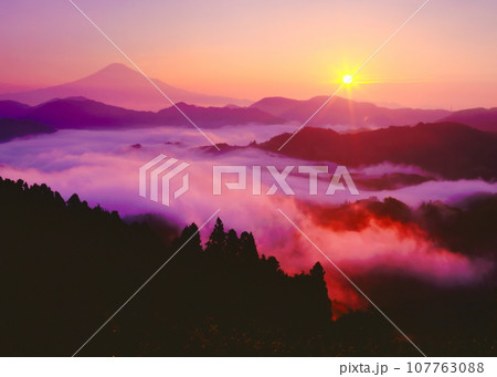 雲海に浮かぶ夜明けの富士山・静岡県静岡市清水区吉原にて 107763088
