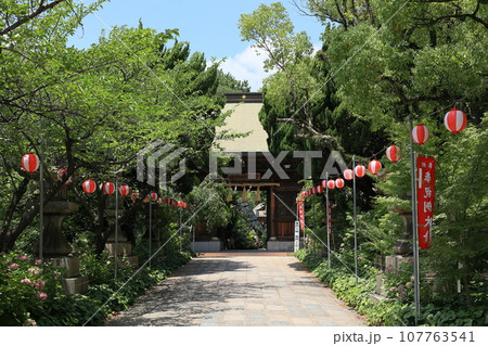 八坂神社(小倉祇園) 八坂神社(小倉祇園) 107763541