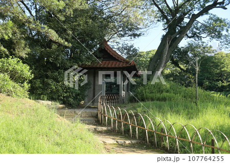 残暑の栗林公園（8月下旬・群鴨池） 107764255