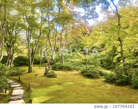 京都の青々とした木々が美しい大河内山荘庭園2 107764281