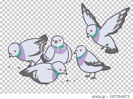 鴿子 鴿子 鴿子 鴿子 107764873