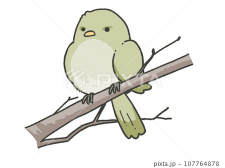 うぐいす 107764878