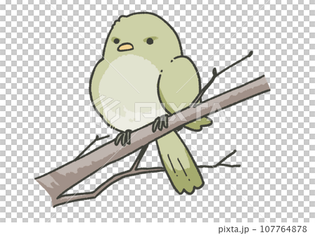 うぐいす 107764878